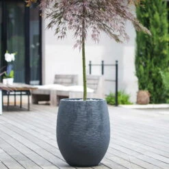 Pflanzgefäß Graphit Egg, Anthrazit, Wasserdicht, Robust -Lechij Verkaufe 3210103698 Pflanzgefaess Graphit Egg anthrazit D50xH60cm 53Ltr 1 62076