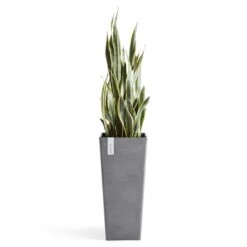 Pflanzgefäß 'Rotterdam MidHigh', Grau 6 Pflanzgefäß 'Rotterdam MidHigh', Grau -Lechij Verkaufe 3210104153 pflanzgefaess rotterdam high 3 117469