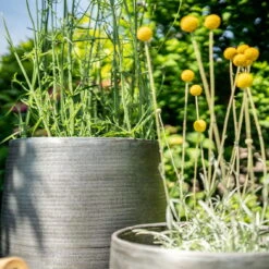 Pflanzgefäß 'Rowen', Silber, Ø 41 X H 72 Cm -Lechij Verkaufe 3210801635 3210801636 3210801637 3210801638 Pflanzgefaess Rowen silber 12 115029