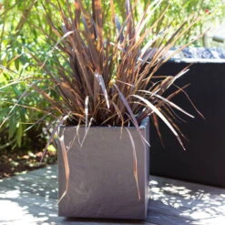 Pflanztrog 'Volcania Dado', Anthrazit, L 39,5 X B 39,5 X H 43,5 Cm -Lechij Verkaufe 3230101084 Pflanztrog Volcania Dado anthrazit 39x39xH43cm 31Ltr6 75428