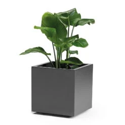 Pflanzkasten 'Kebe', Anthrazit, 35 Liter, 39,5 X 39,5 X 39,5 Cm