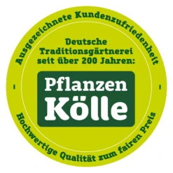 Kölle Bio Zwergbirne 'Garden Pearl® Pyvert', Topf 7,5 Liter -Lechij Verkaufe qualitaetssiegel pflanzen koelle 3000x3000 70847 196